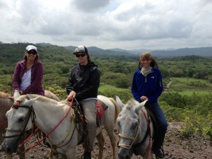 horseback