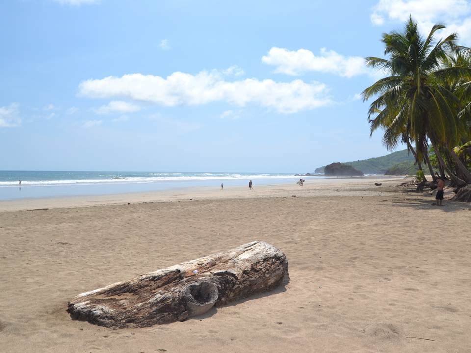 Playa Grande Costa Rica