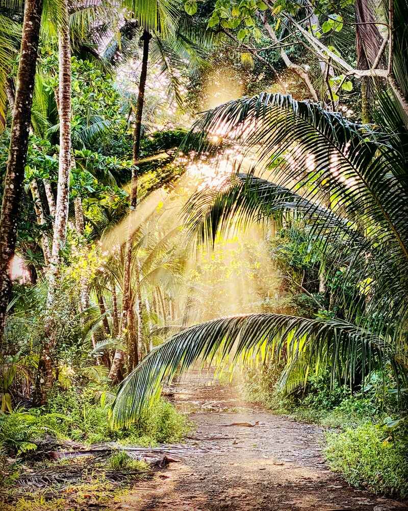 Rincon de la Vieja National Park