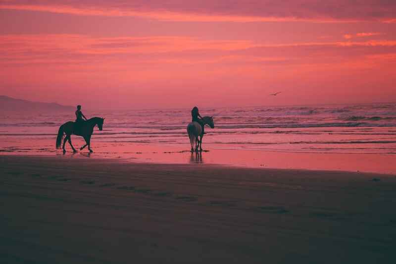 Tamarindo Horseback Riding