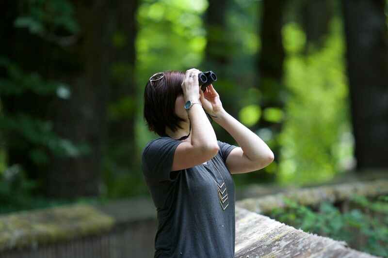 Bird Watching Costa Rica