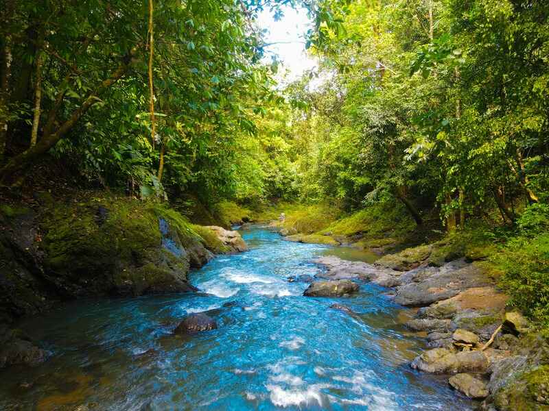 Costa Rica wildlife